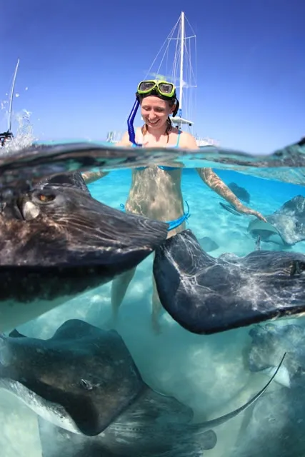 A snorkeler with stingrays at the sandbar.